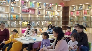 北京红缨幼儿园好不好？