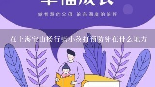 在上海宝山杨行镇小孩打预防针在什么地方