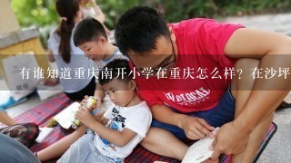 有谁知道重庆南开小学在重庆怎么样？在沙坪坝区怎么样？很急？