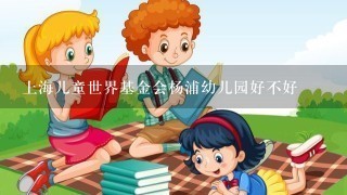 上海儿童世界基金会杨浦幼儿园好不好